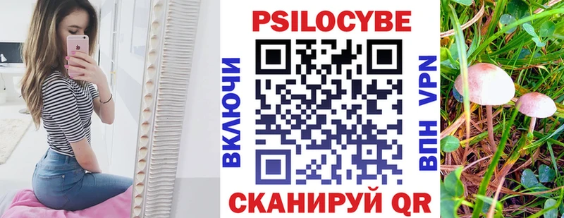 Галлюциногенные грибы Cubensis  MEGA как войти  Зеленокумск 